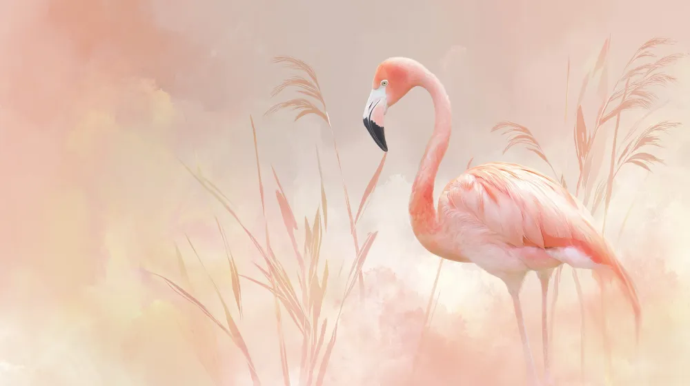 Papier de parede dječja soba | Flamingo ružičasta i nježni krajolici