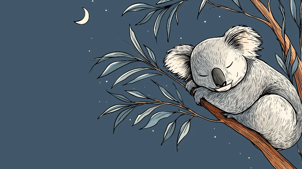 Papier de parede soba beba | Spavajući koala na grani ispod zvjezdane noći