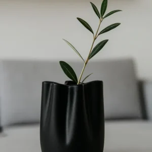 Vaza porculanska crna - Modern Twist