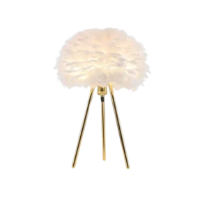Lumière de Plume