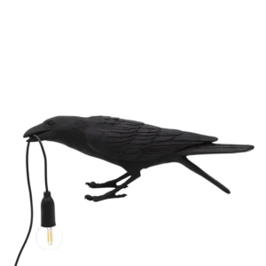 La Nuit du Corbeau