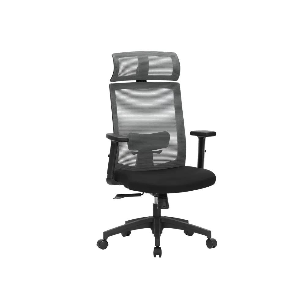 Ergonomska računalna stolica, okretna za 360°, s lumbalnom potporom, siva